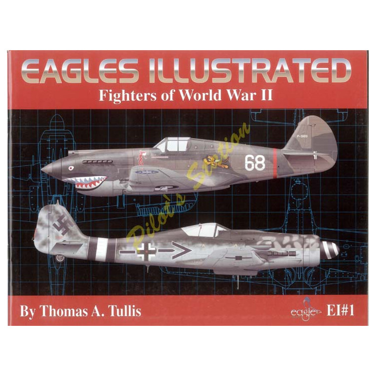 Eagles Illustrated : Fighters of World War II