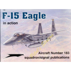 Squadron Signal – F-15 Eagle in action Port offert en France métropolitaine