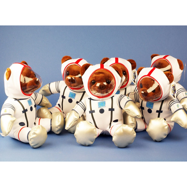 1 Peluche Teddy Ours Astronaute 24cm PACK