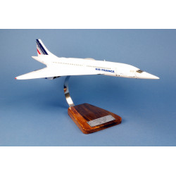 copy of Concorde N°213 F-BTSD “Musée de L’air du Bourget”
